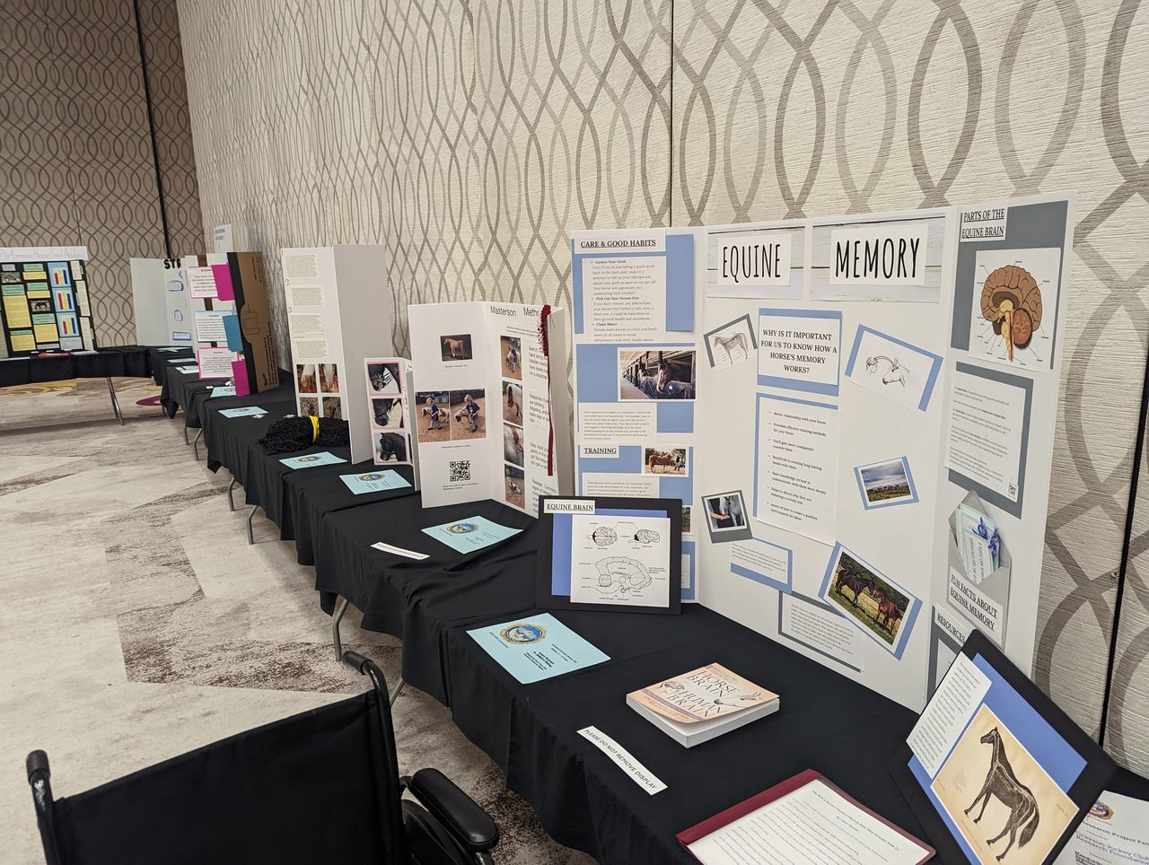 Pony Club members research boards on horse care and equine memory, lined up along the hall at the convention