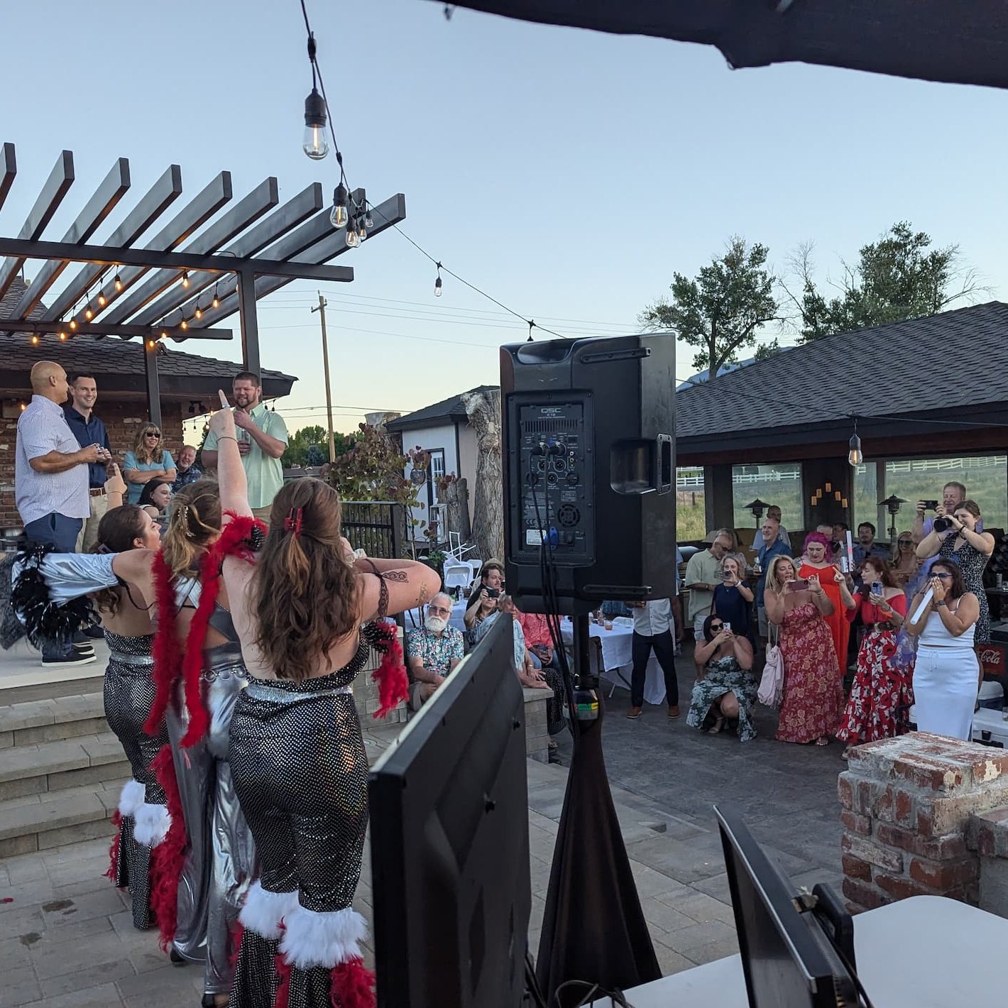 Wedding guests singing karaoke at a fun party in Reno, a service provided by DJs in Reno.