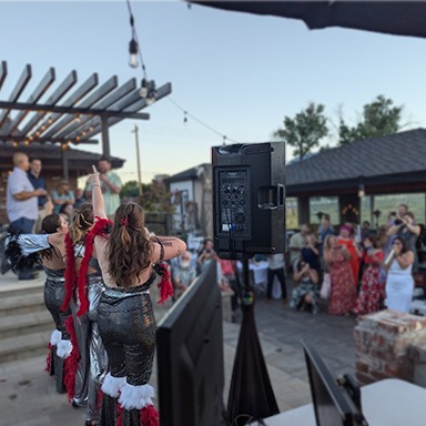 Wedding guests singing karaoke at a fun party in Reno, a service provided by DJs in Reno.