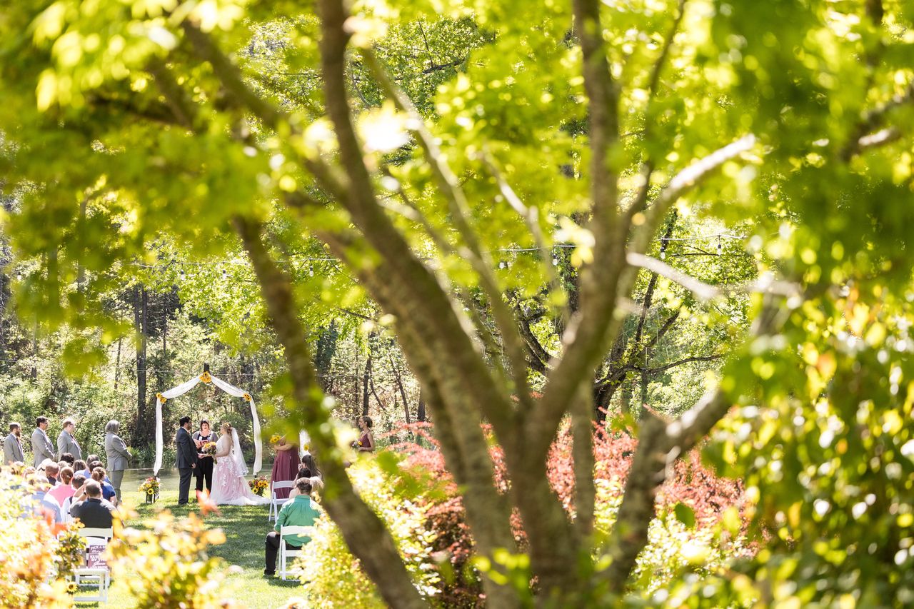The ceremony seen from across the grounds through the branches of a maple tree