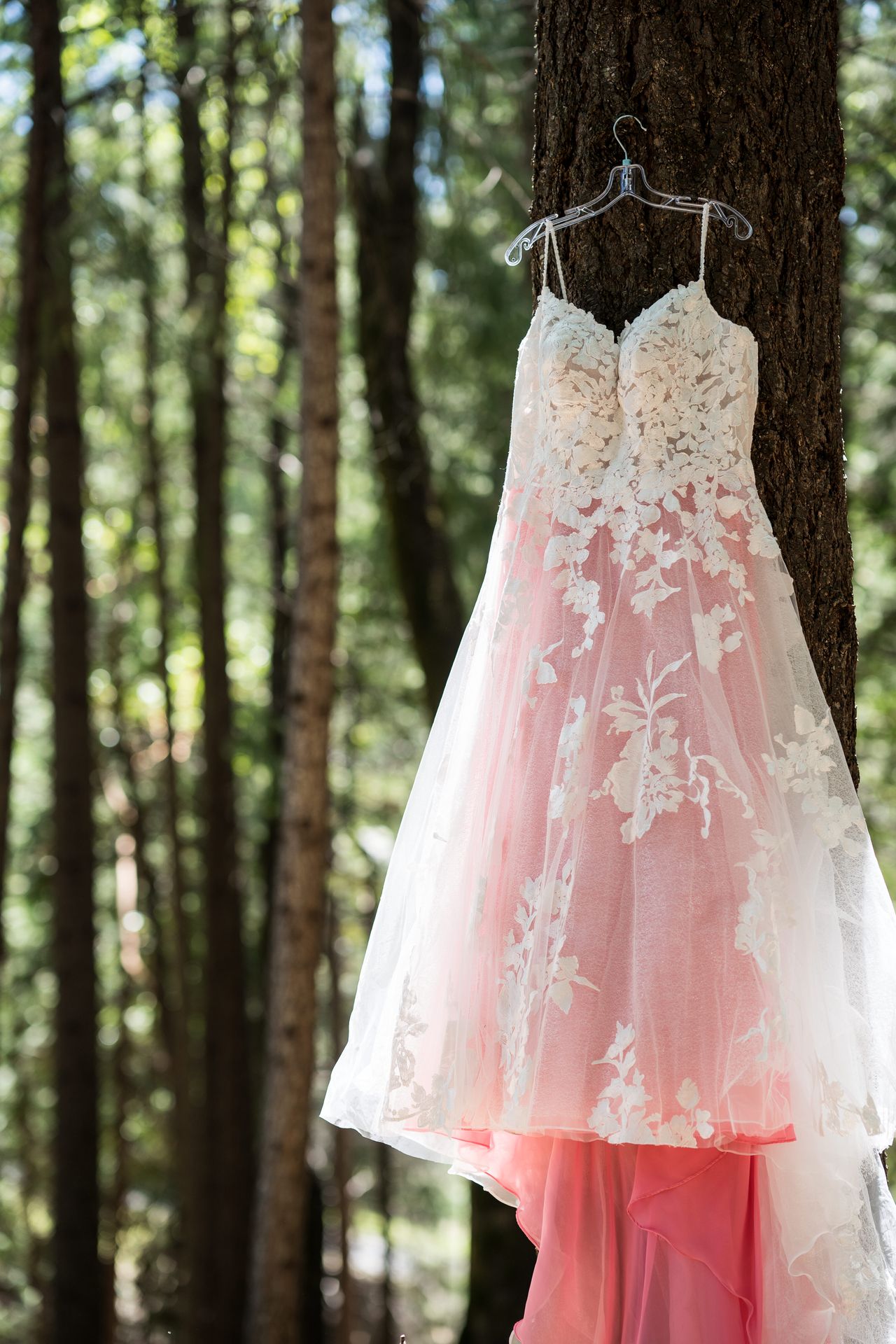 Abney's blush pink wedding gown hanging from a pine tree