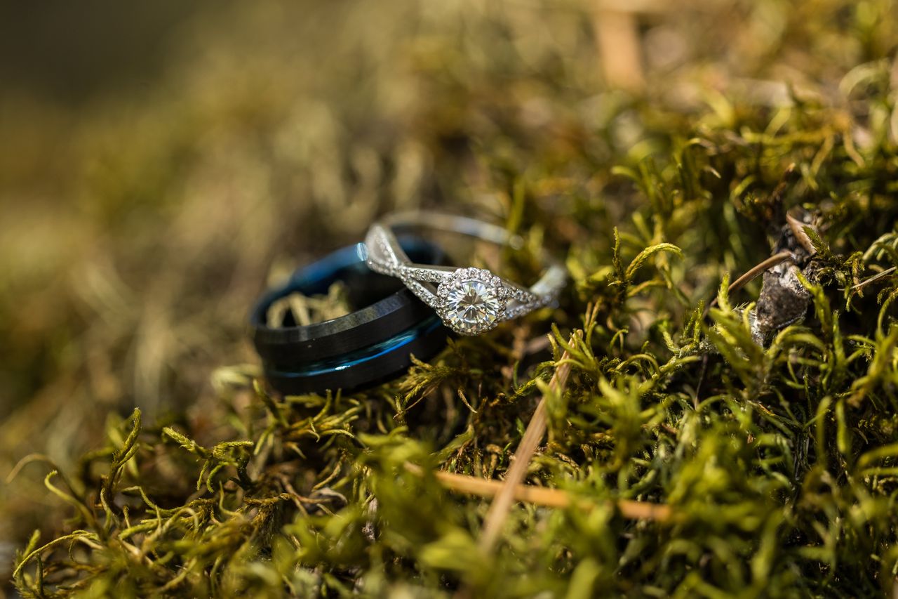 The wedding rings resting on a bed of moss