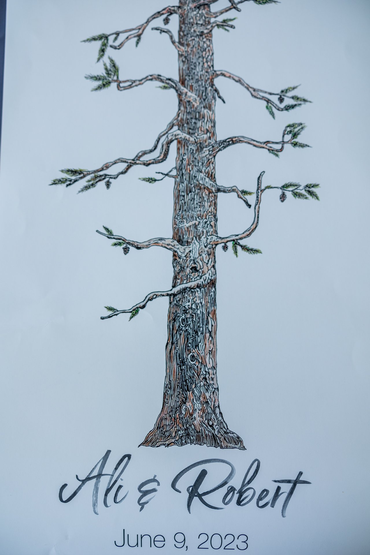 A wooden tree sign for Ali and Robert with their wedding date