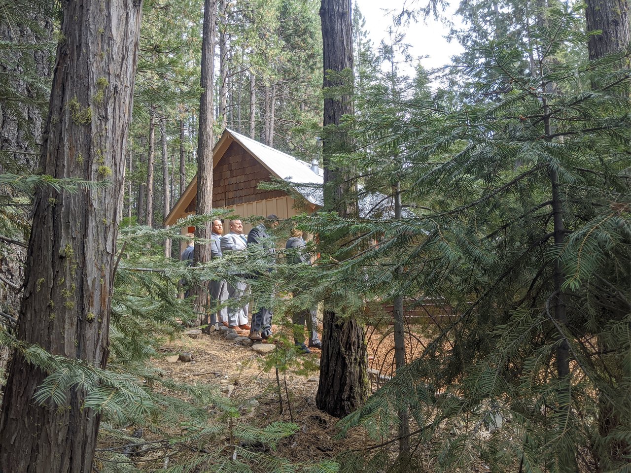 The groomsmen in gray suits wait by a cabin in the pines before the ceremony