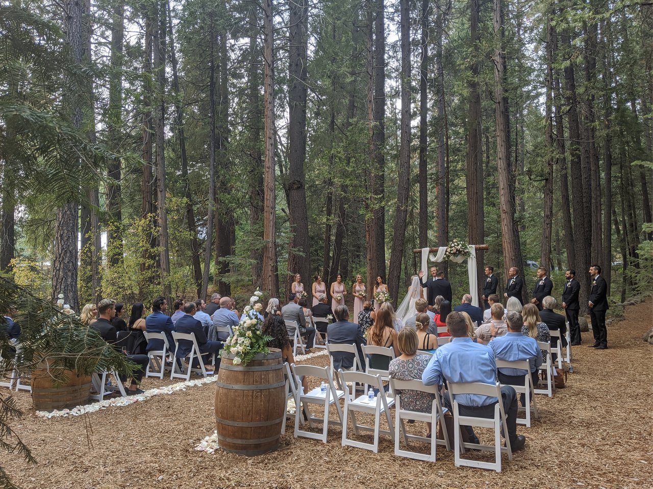 Guests on white chairs watch Angela and Stephen at the draped arch among tall pines