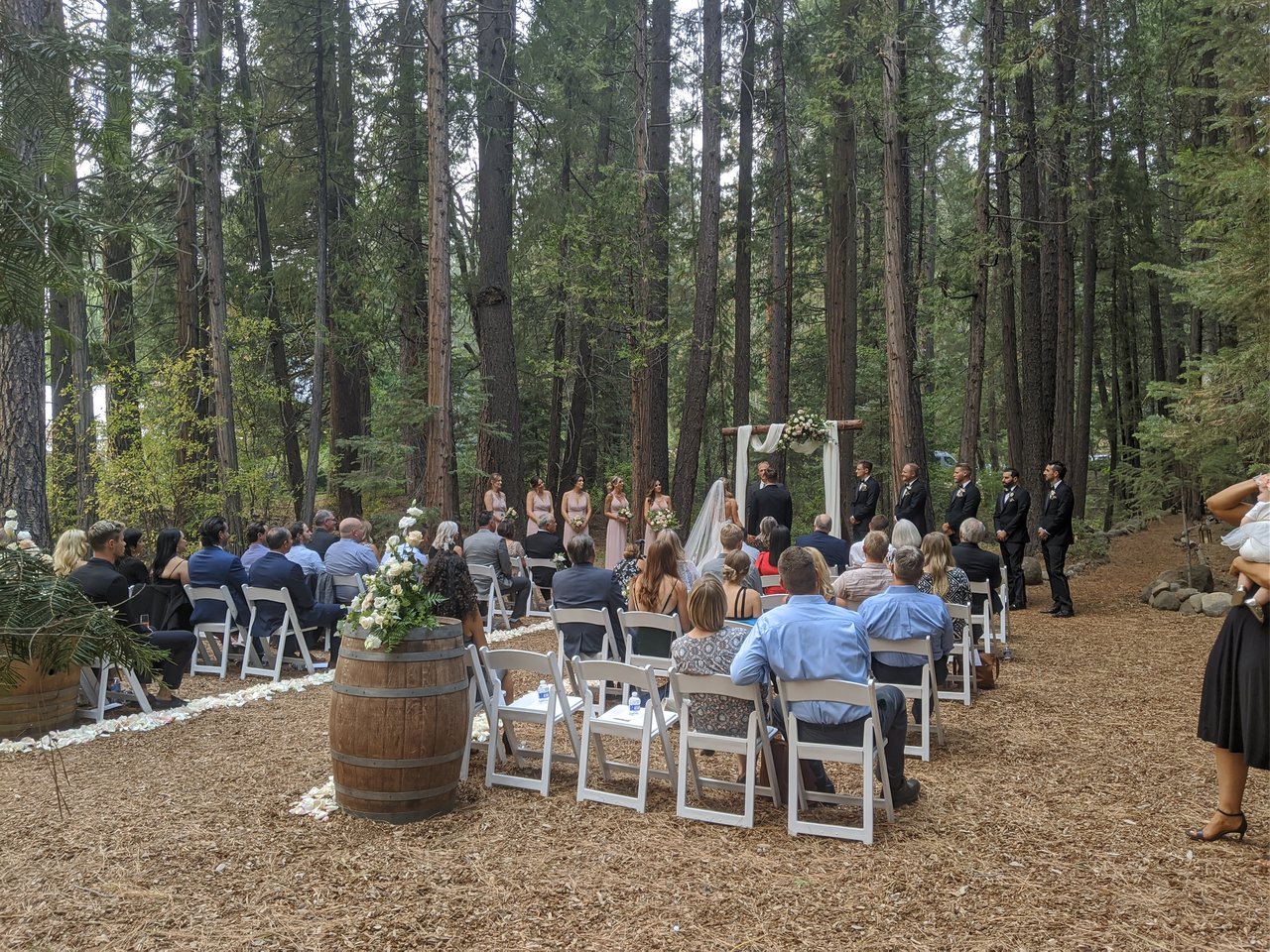 Guests on white chairs face the arch as Angela and Stephen say their vows among the pines