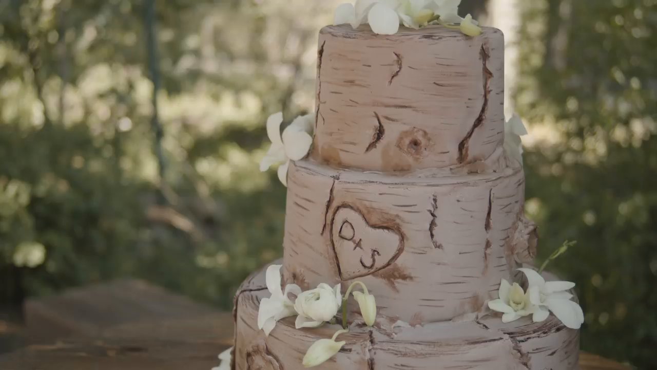 The birch bark wedding cake carved with a heart and their initials.