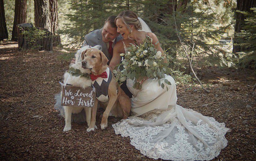 Danielle and Scott sit on the forest floor with their two dogs wearing We Loved Her First signs