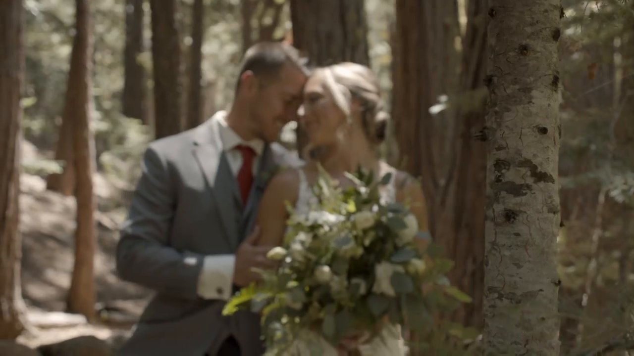 Scott and Danielle lean in close with their foreheads together among the trees.