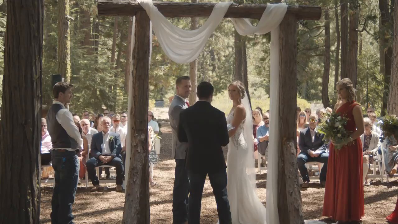 The forest ceremony seen from behind the guests, Danielle and Scott under the draped wooden arch.