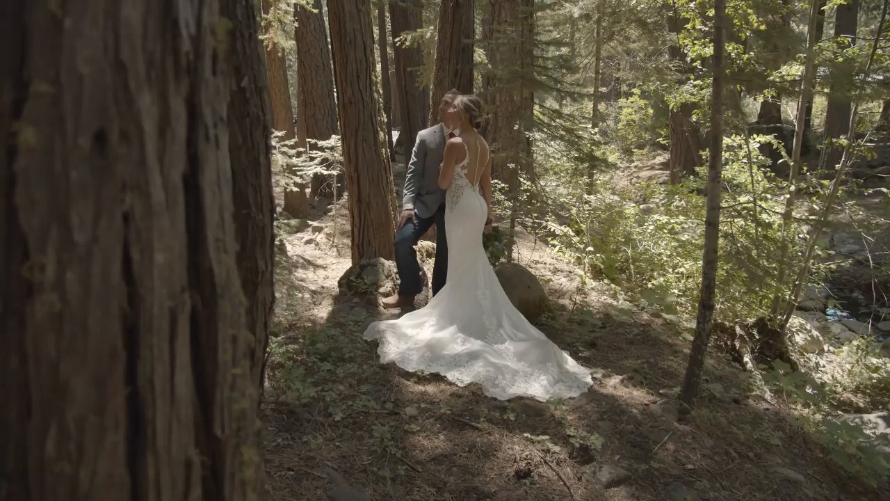 Danielle and Scott share a quiet moment among the tall trees, her long train across the forest floor.
