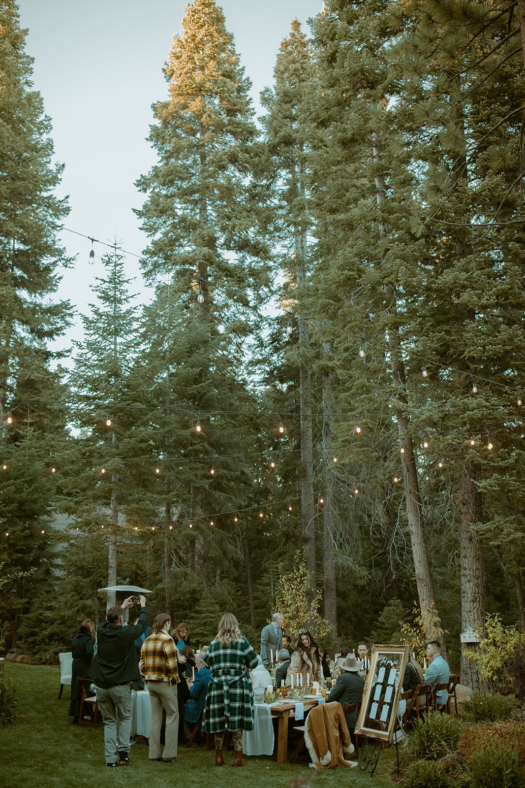 Long dinner tables under string lights and tall pines on the private estate