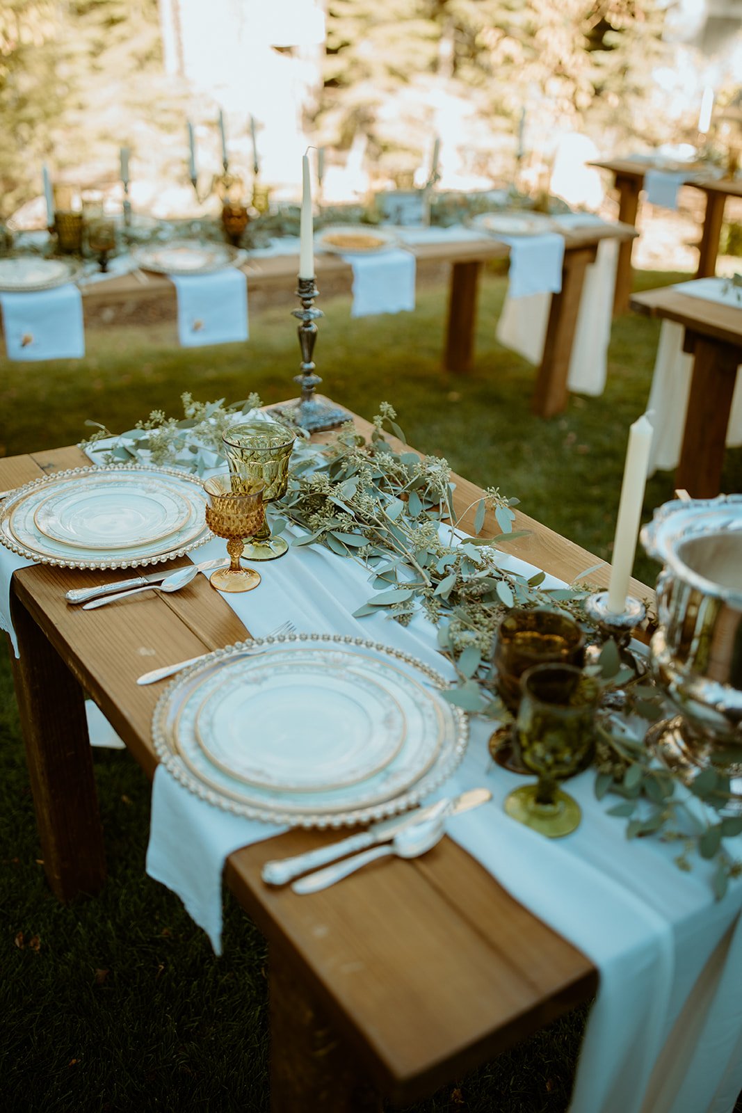 A long dinner table with gold rimmed plates, blue runners and greenery on the lawn