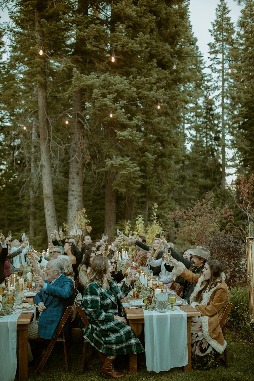 Guests raise their glasses at the long tables under the pines