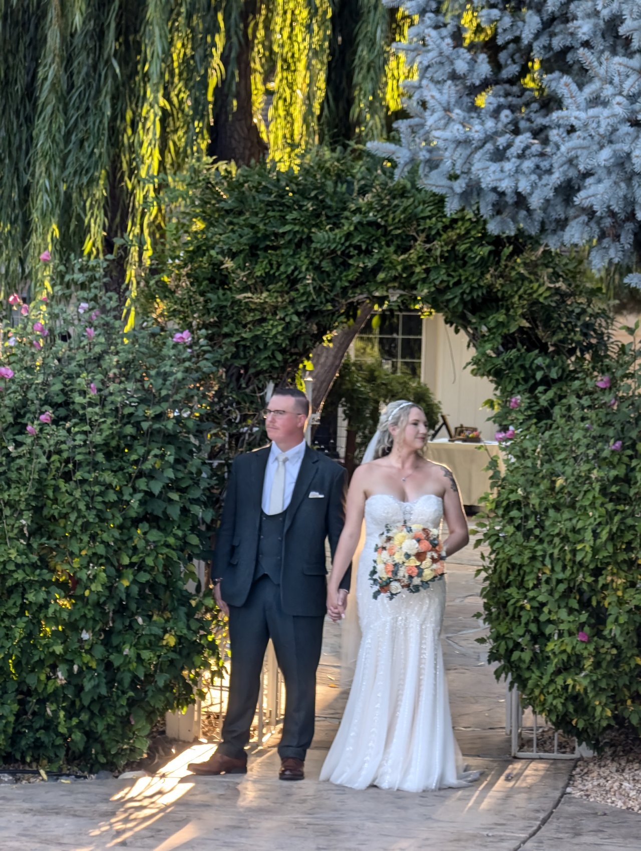 Emily and Logan hold hands under an ivy arch beside a weeping willow and a blue spruce at golden hour