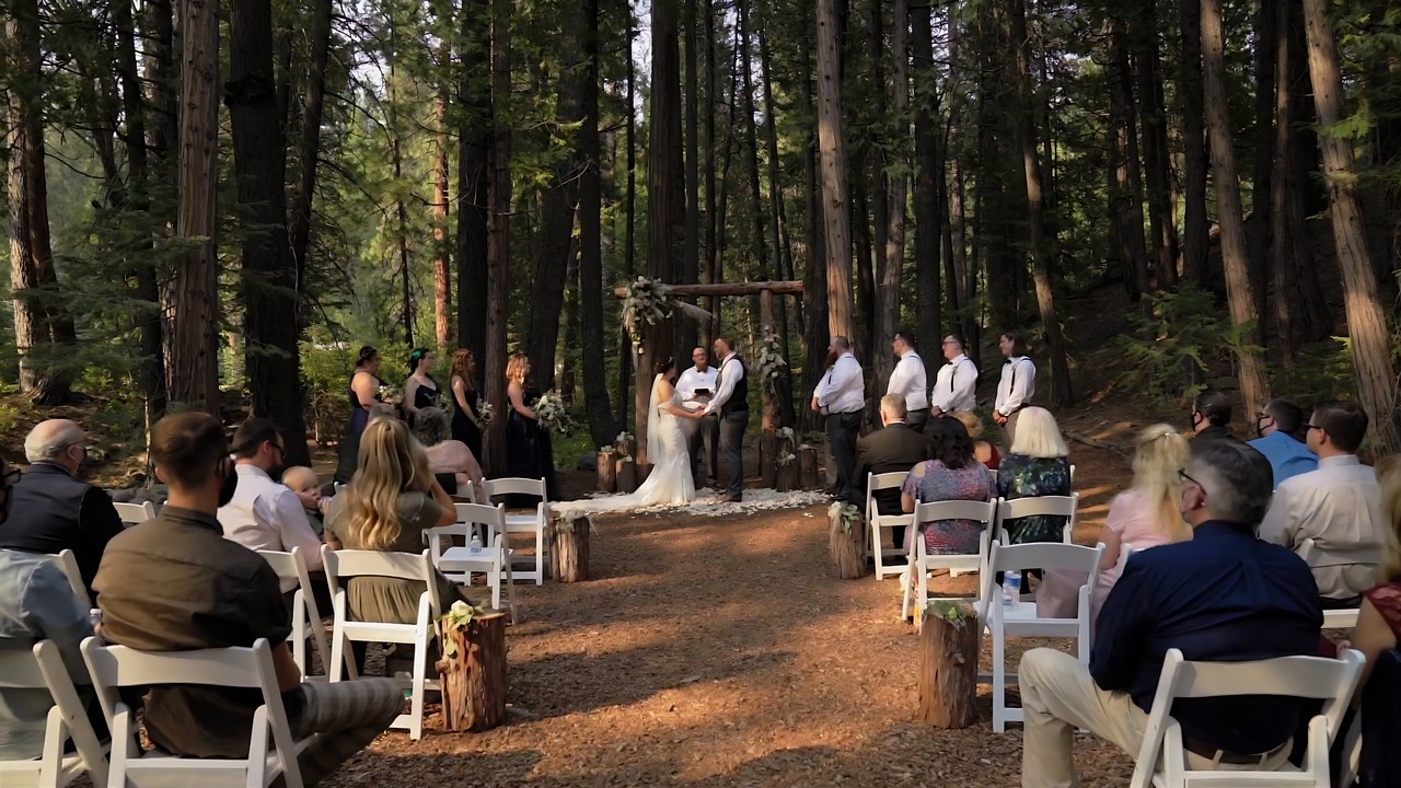 Guests seated along the aisle for the forest ceremony