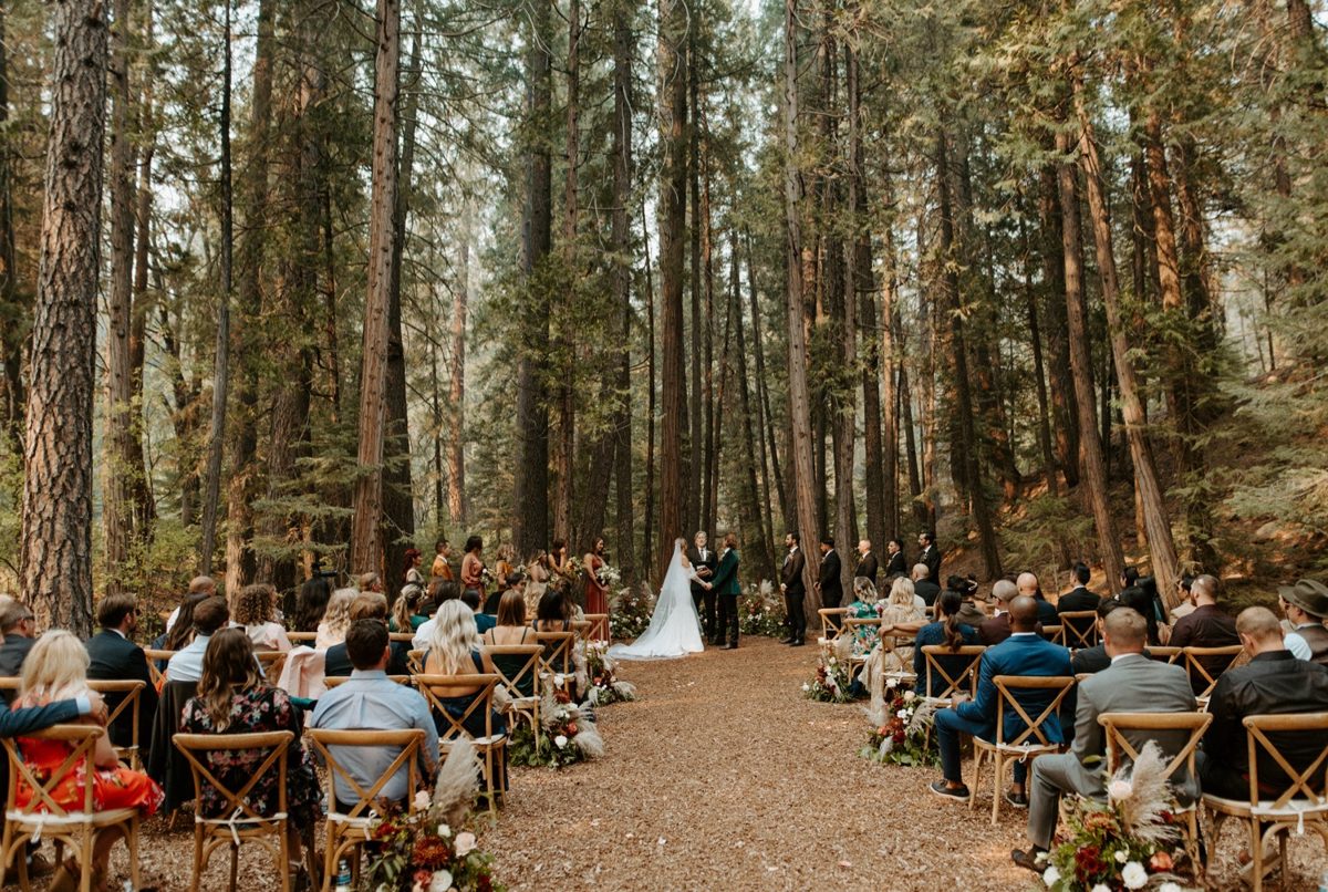 Wedding guests watch Joan and Kyle exchange vows beneath the pines at Twenty Mile House