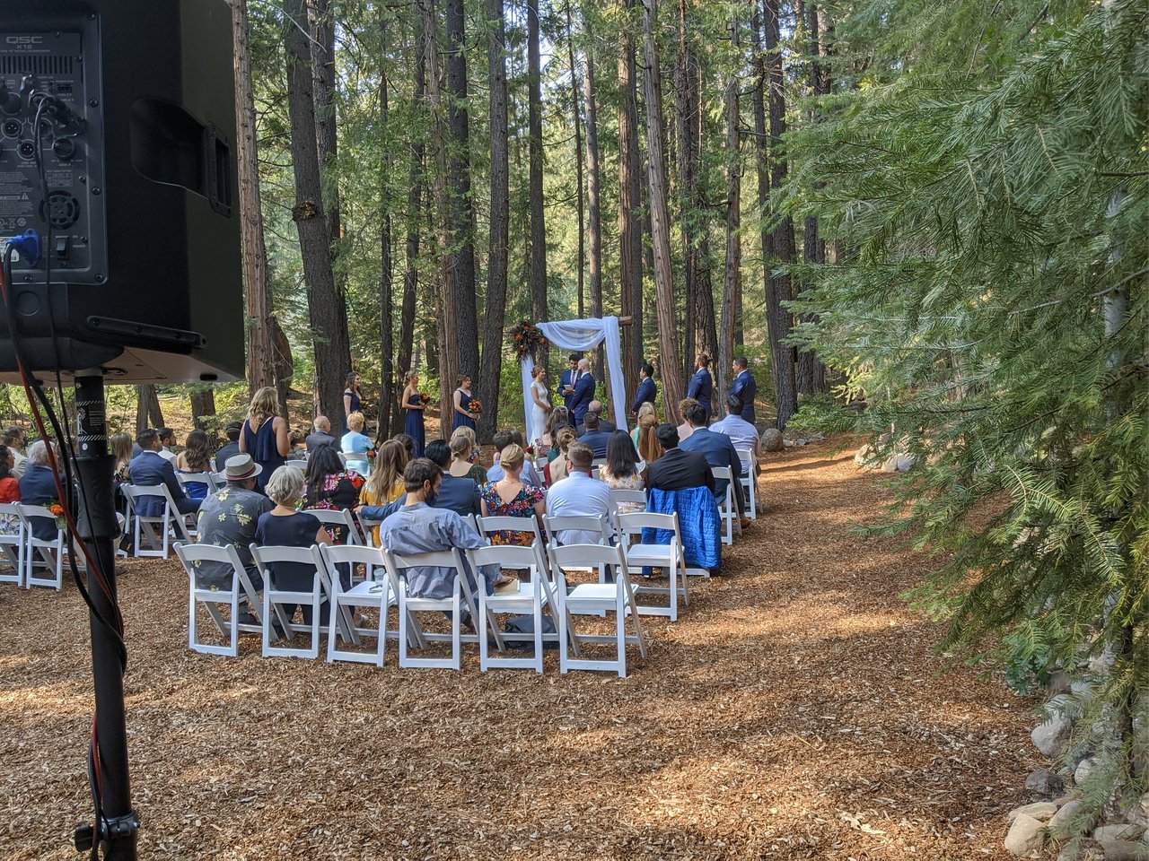 Guests seated for the ceremony among the tall pines at Twenty Mile House