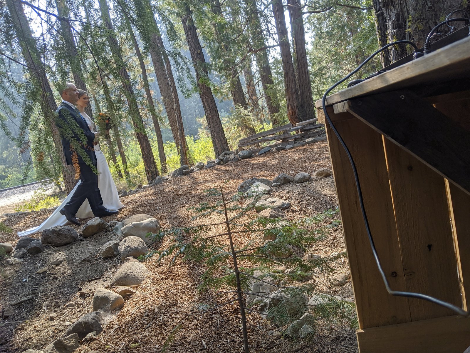 Lauren is walked down the wooded path through the tall pines toward the ceremony