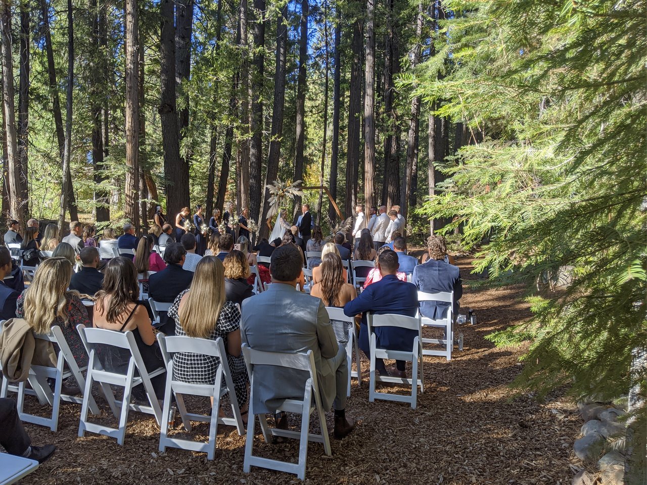Nicole and Thomas's ceremony in the pines at Twenty Mile House, guests seated on white chairs