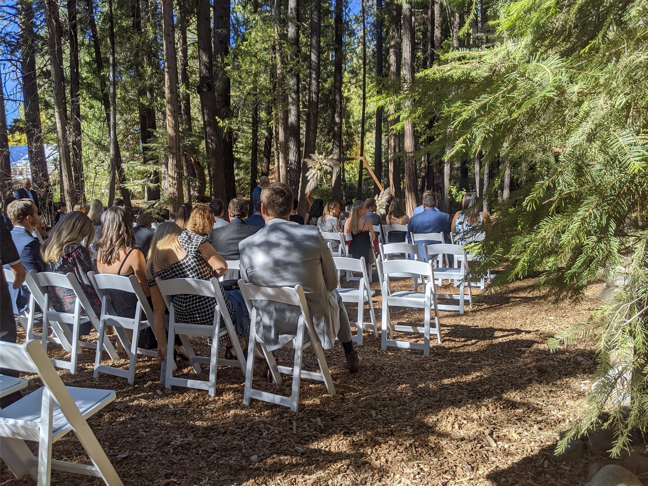 Guests on white chairs among the tall pines at Nicole and Thomas's forest ceremony