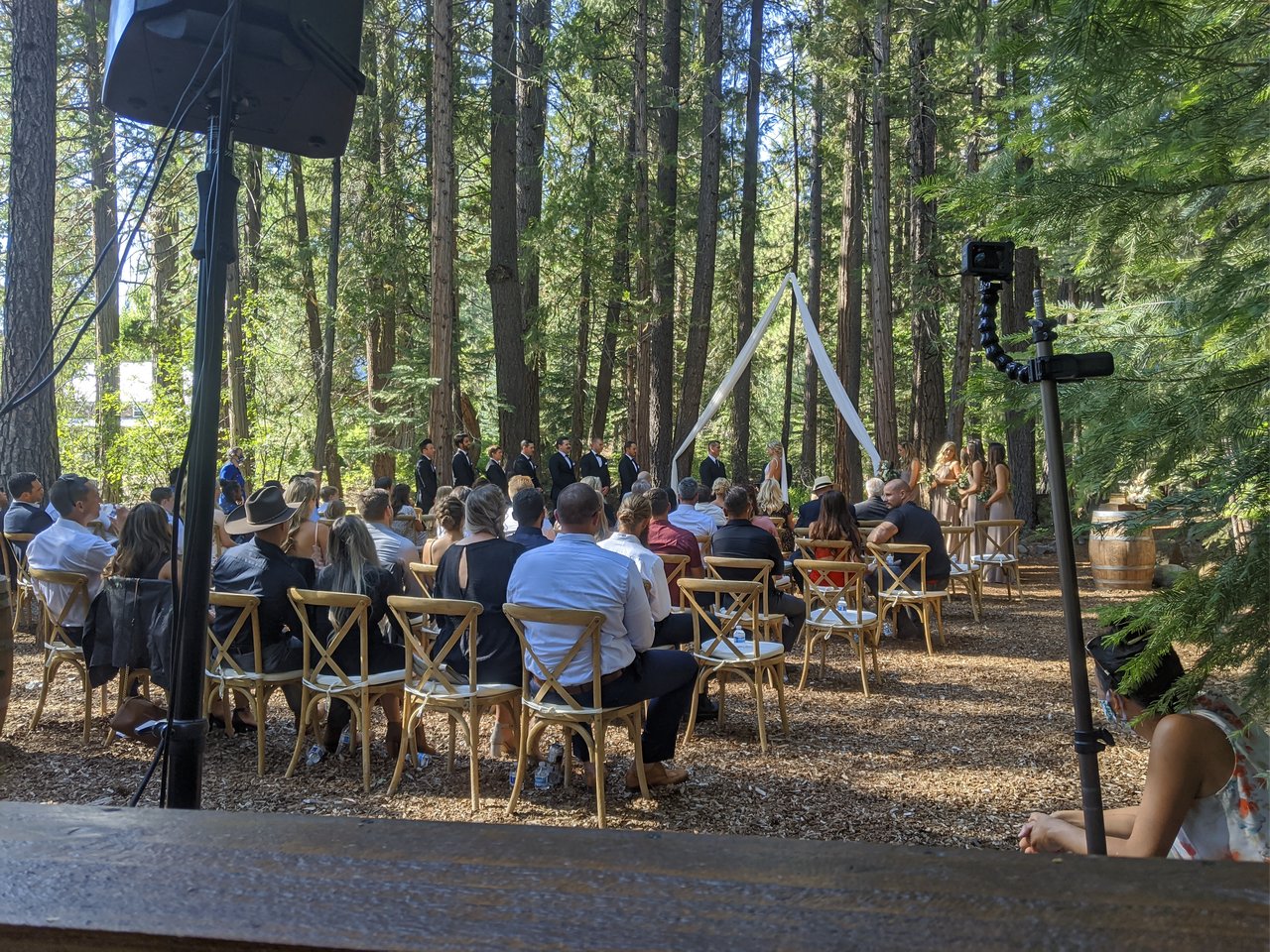 The forest ceremony from my DJ booth, guests in wooden chairs under the pines and the wedding party at the white fabric arch