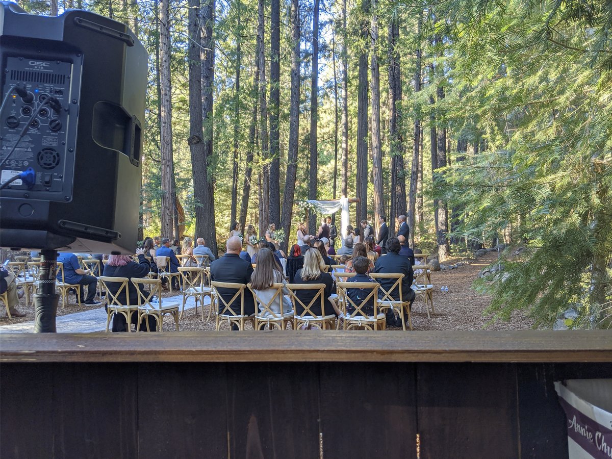 Guests seated among the tall pines for Taylor and Rob's forest ceremony at Twenty Mile House