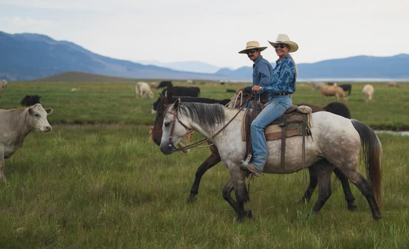 Riders on horseback in the meadow at Hunewill Ranch, Bridgeport