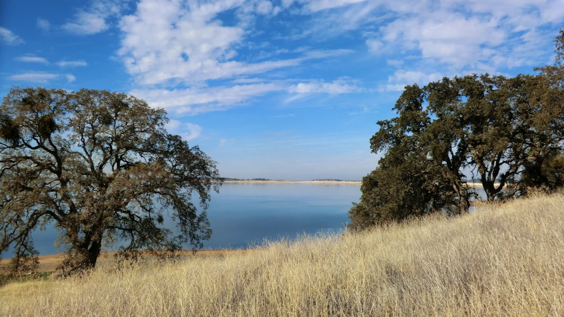 Folsom Lake through the oak trees outside Sacramento, California