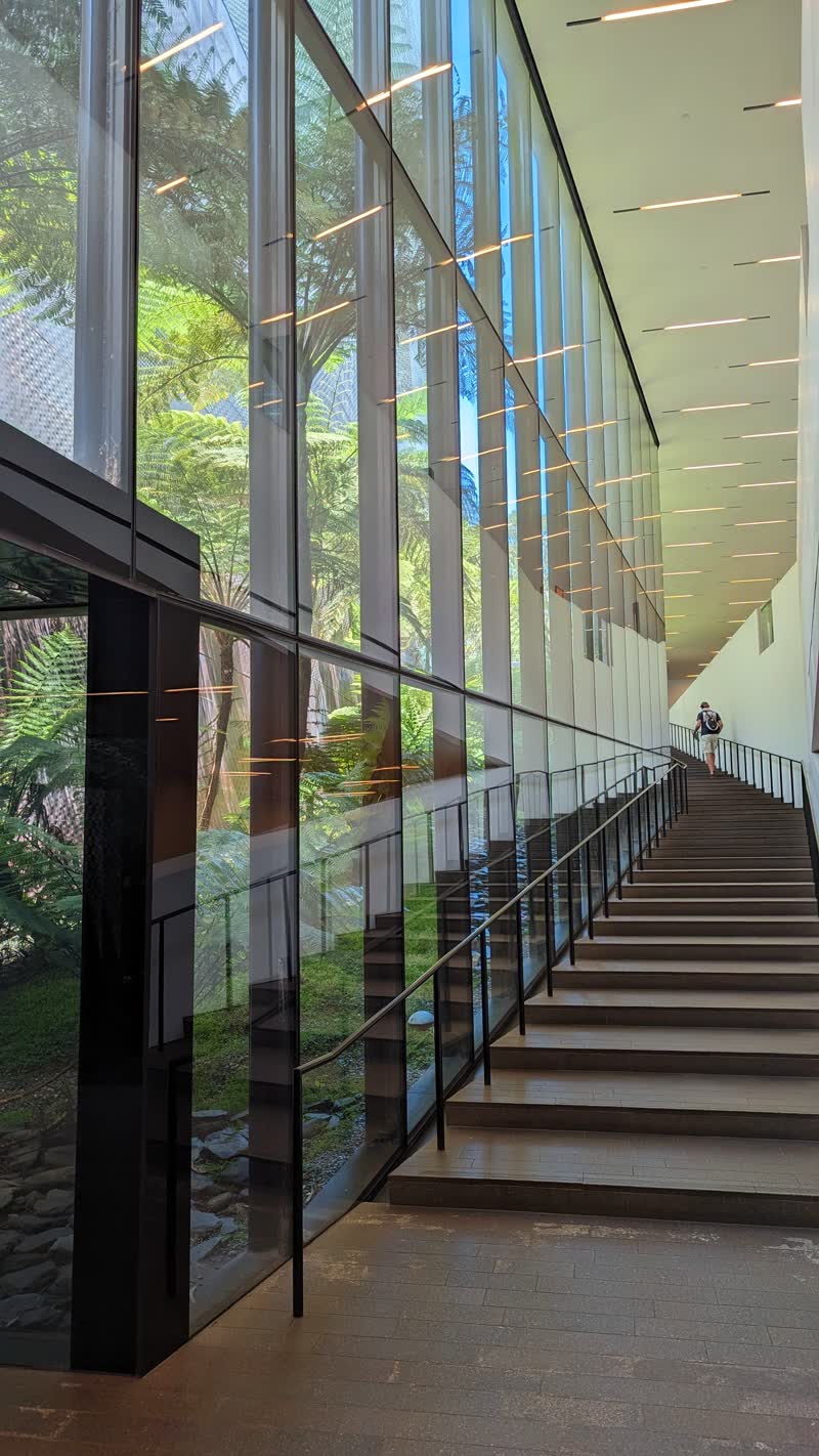 The glass stairway and fern garden inside the de Young Museum