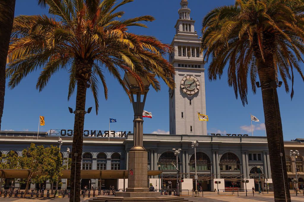 The Ferry Building clock tower framed by palm trees