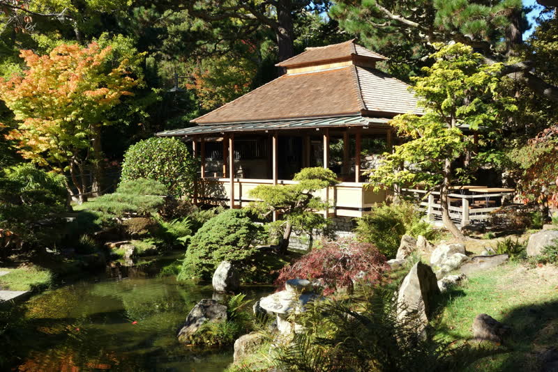 The tea house and pond at the Japanese Tea Garden in Golden Gate Park