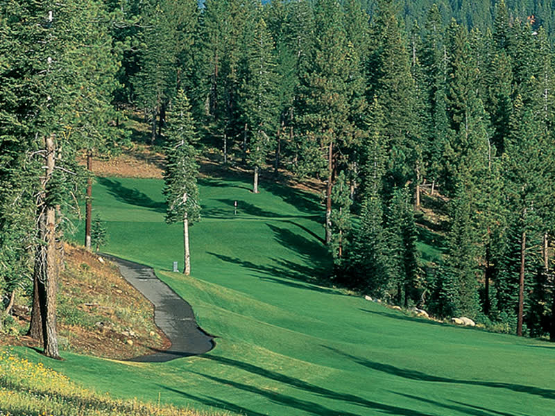 A forested fairway at Coyote Moon Golf Course in Truckee